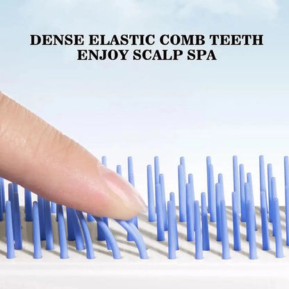 Self Cleaning Hair Brush and Massage Comb