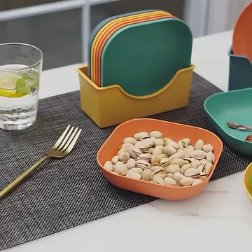 10pcs Plates Set With Holder